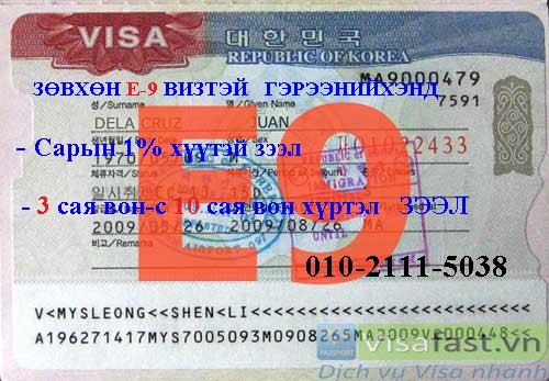 visa-e9-1.jpg