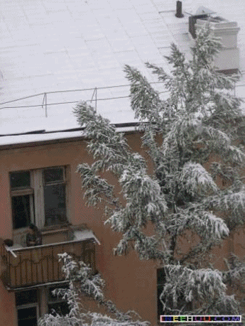 anigif.gif