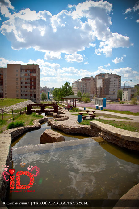 bolzoo-8.jpg