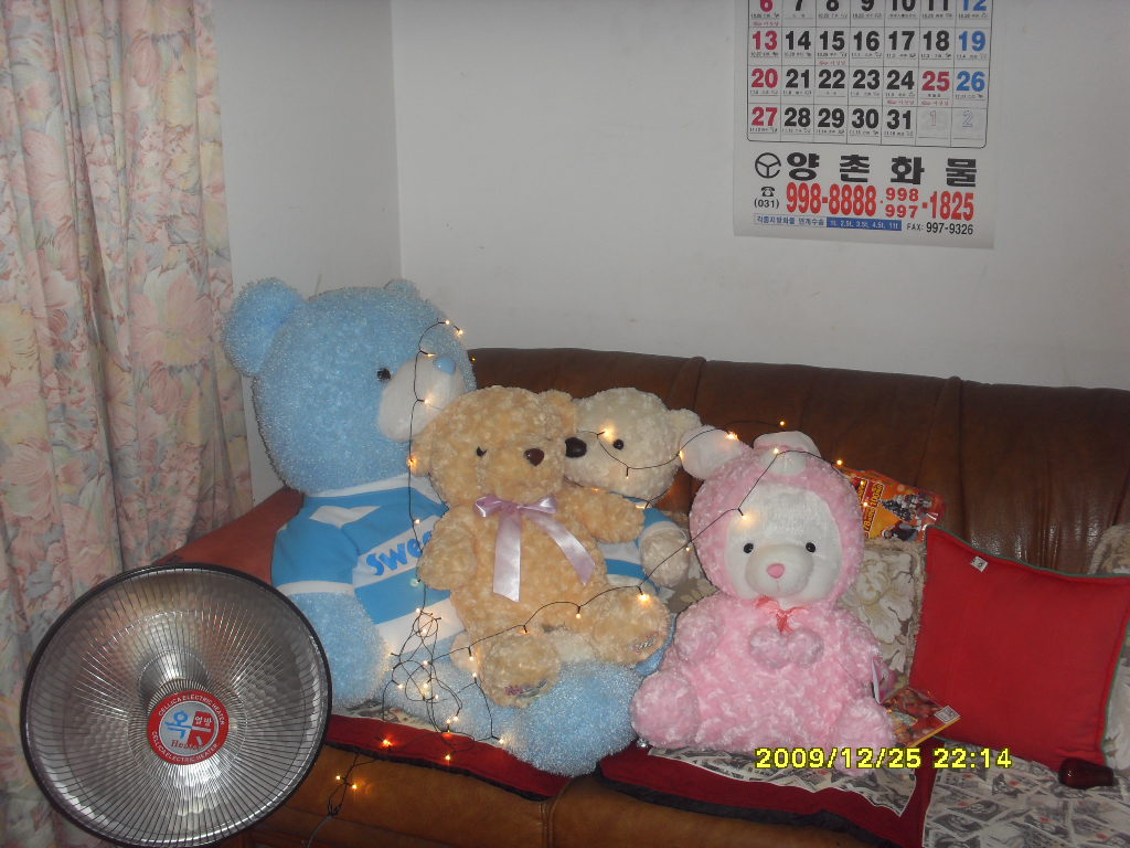 SDC11013.JPG