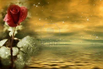 8772241-postcard-of-love-night-gold-with-red-rose-flower.jpg