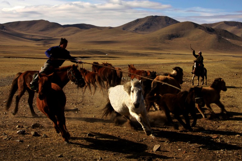 mongolia-800x533.jpg