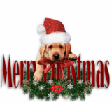 th_christmaspupts2.gif