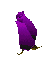roza-207.gif