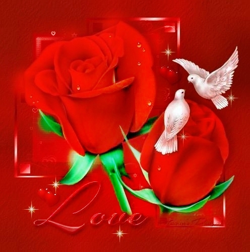 5c138fe4929b57b7ab3c87aab60fea08_web.jpg