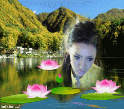 skxr-10g-1[1]_4c02a81a.gif