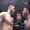 1145188040102.gif
