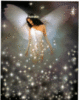 dagina 3.gif