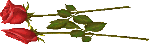 12.gif
