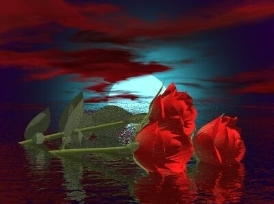 roses-8.jpg
