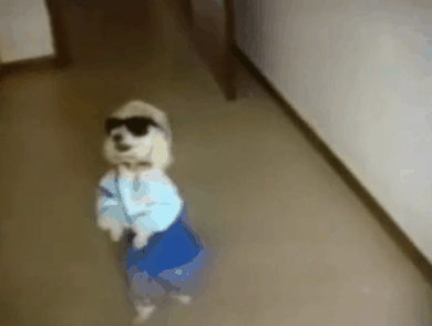 baagaas soonood hehe.gif