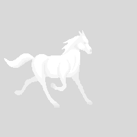 bg_horse.gif