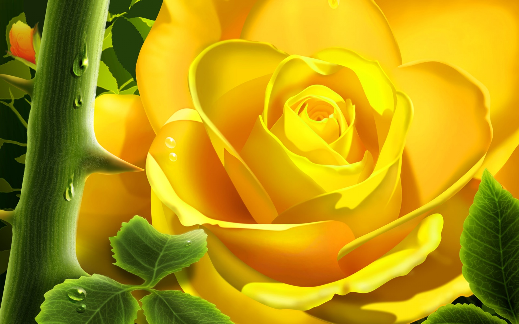 yellow_bloom-wide.jpg