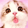 7501023.gif