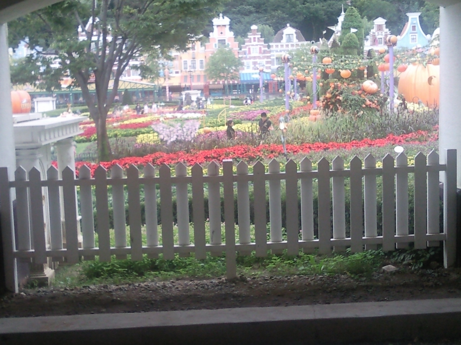 SNC00269.jpg