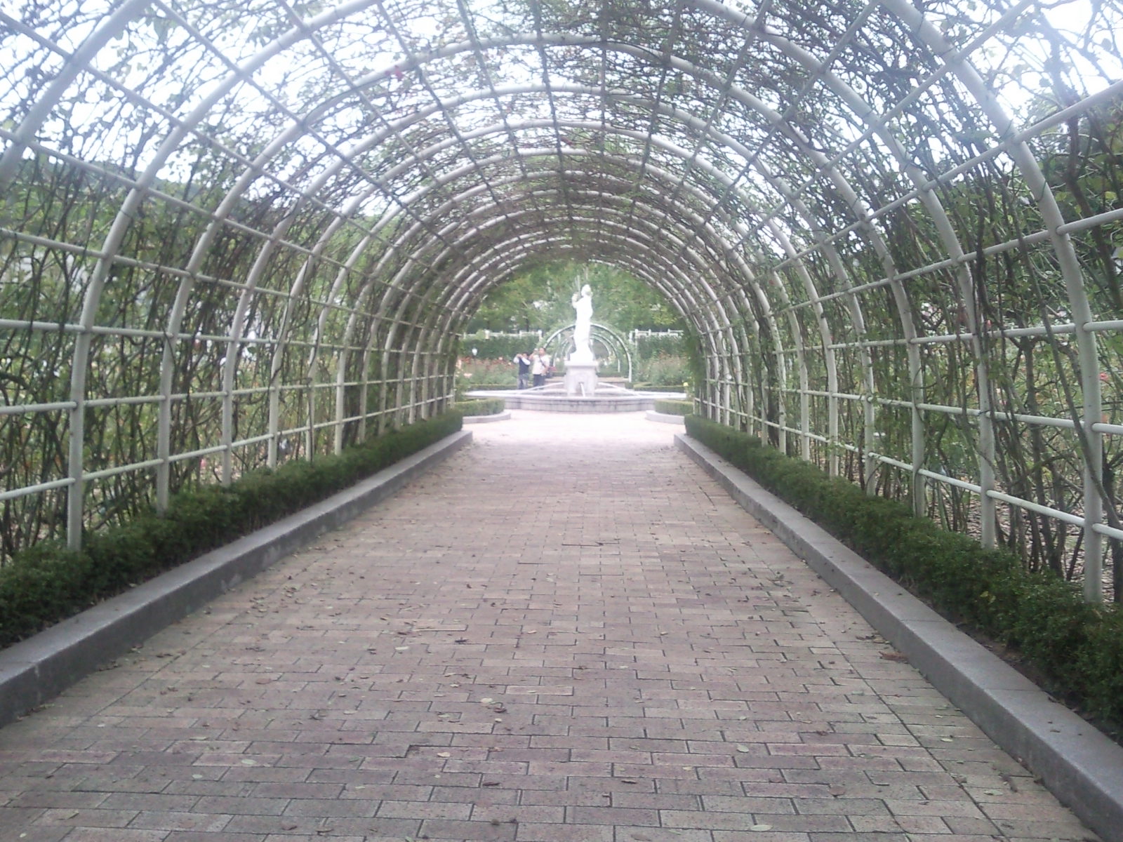SNC00282.jpg