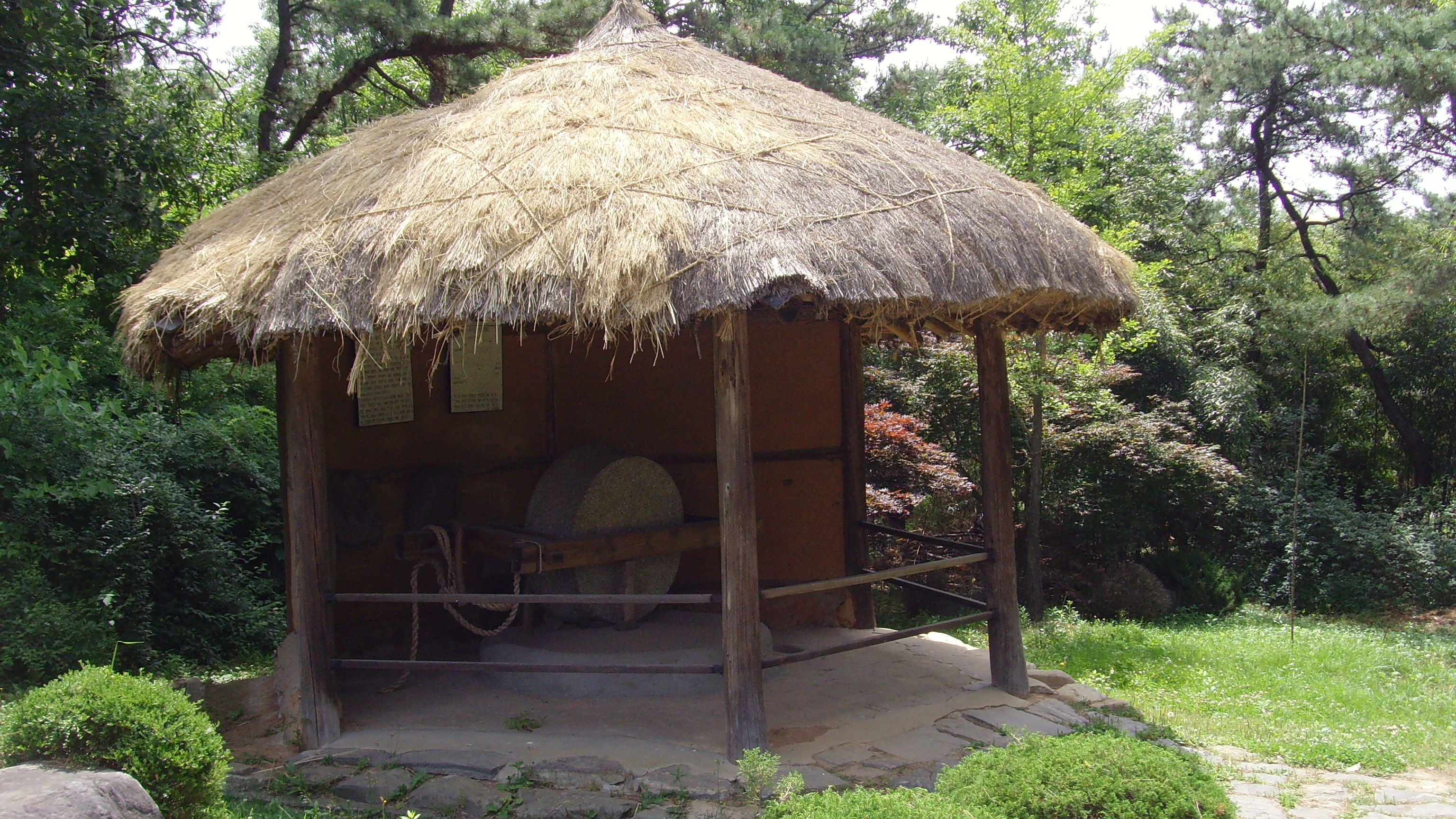 SNV32407.JPG