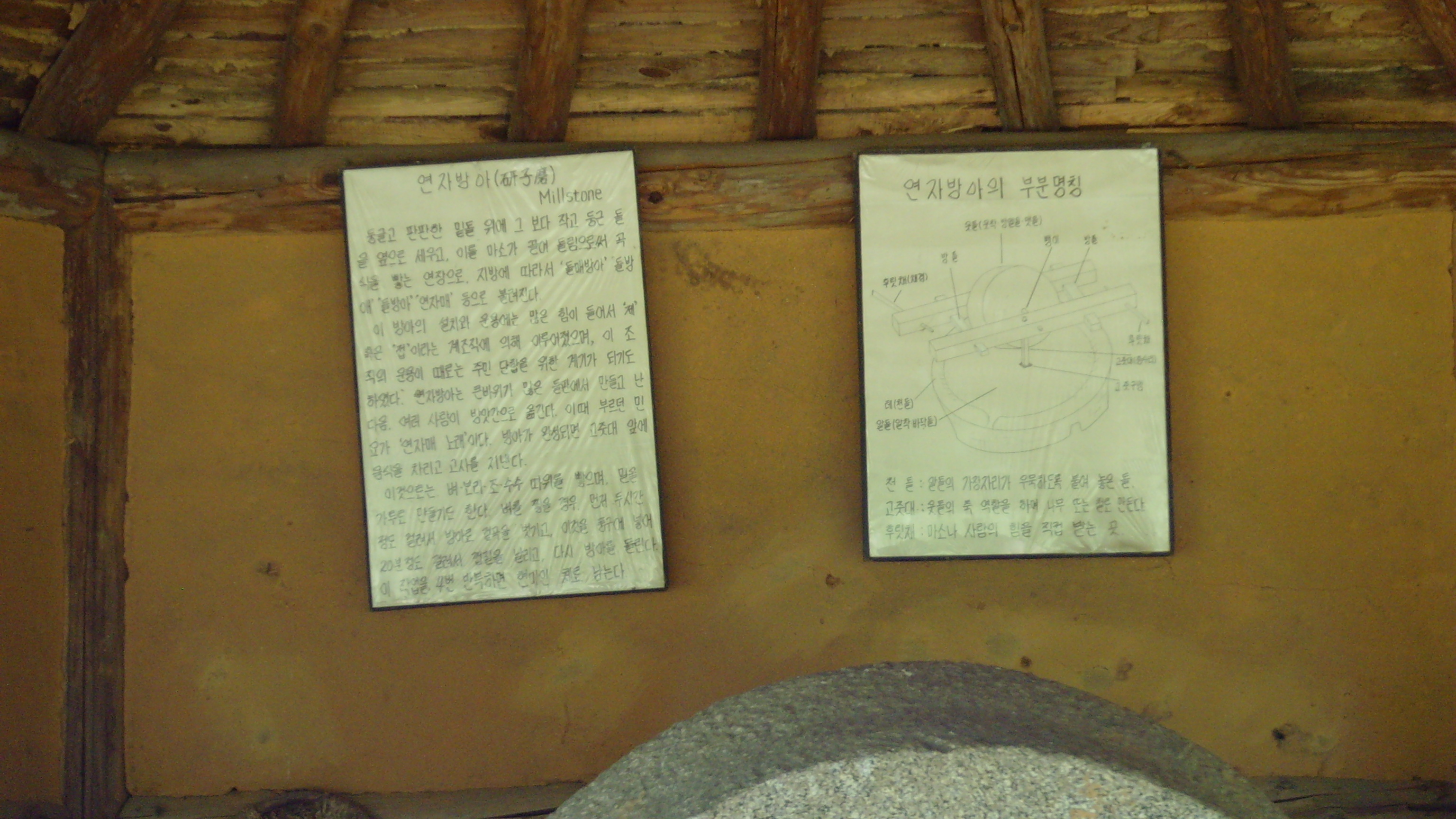 SNV32408.JPG
