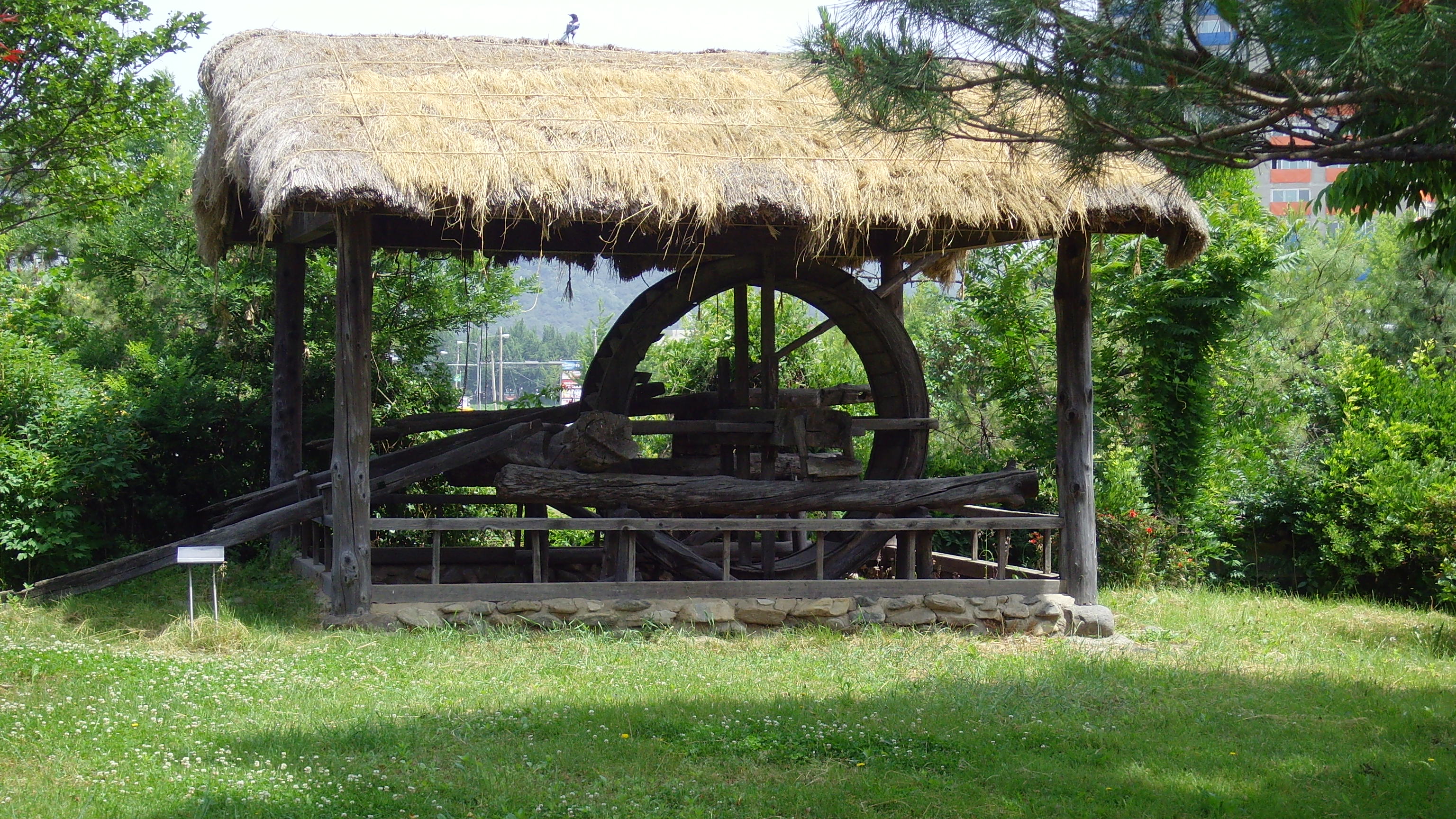 SNV32410.JPG