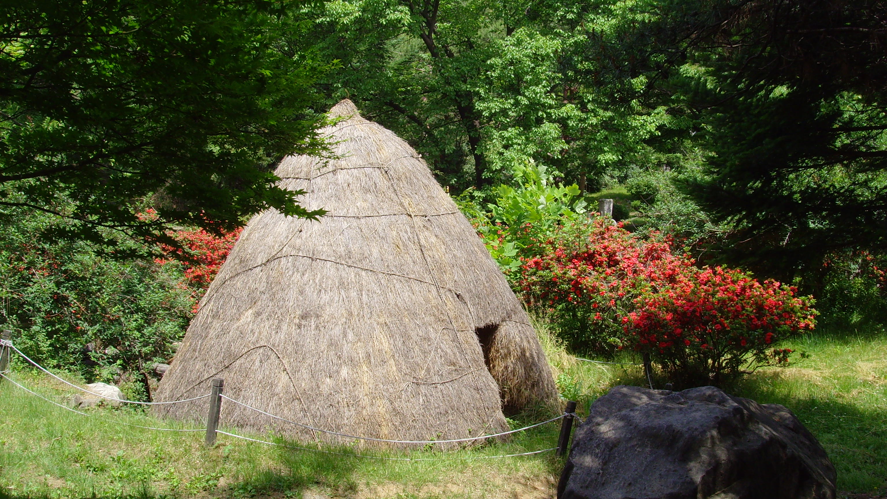 SNV32413.JPG