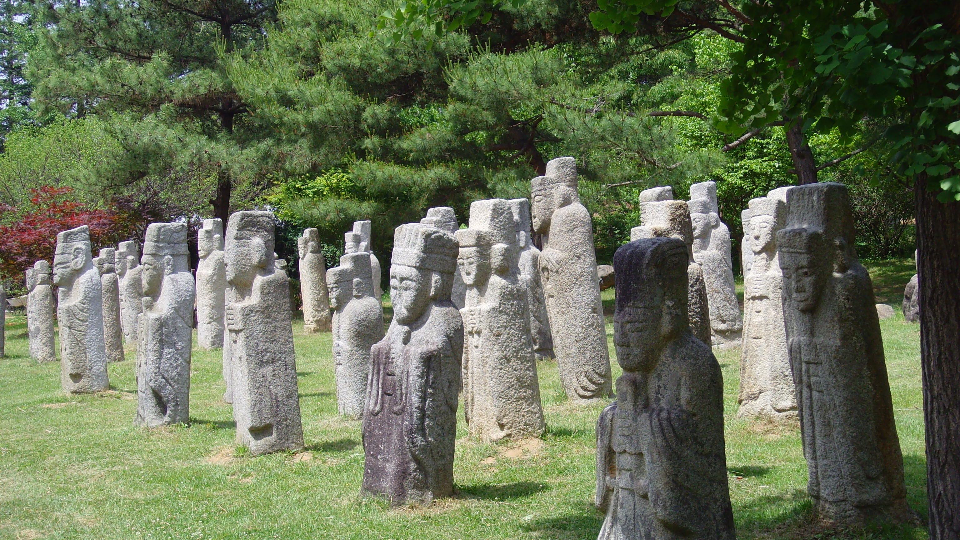 SNV32414.JPG
