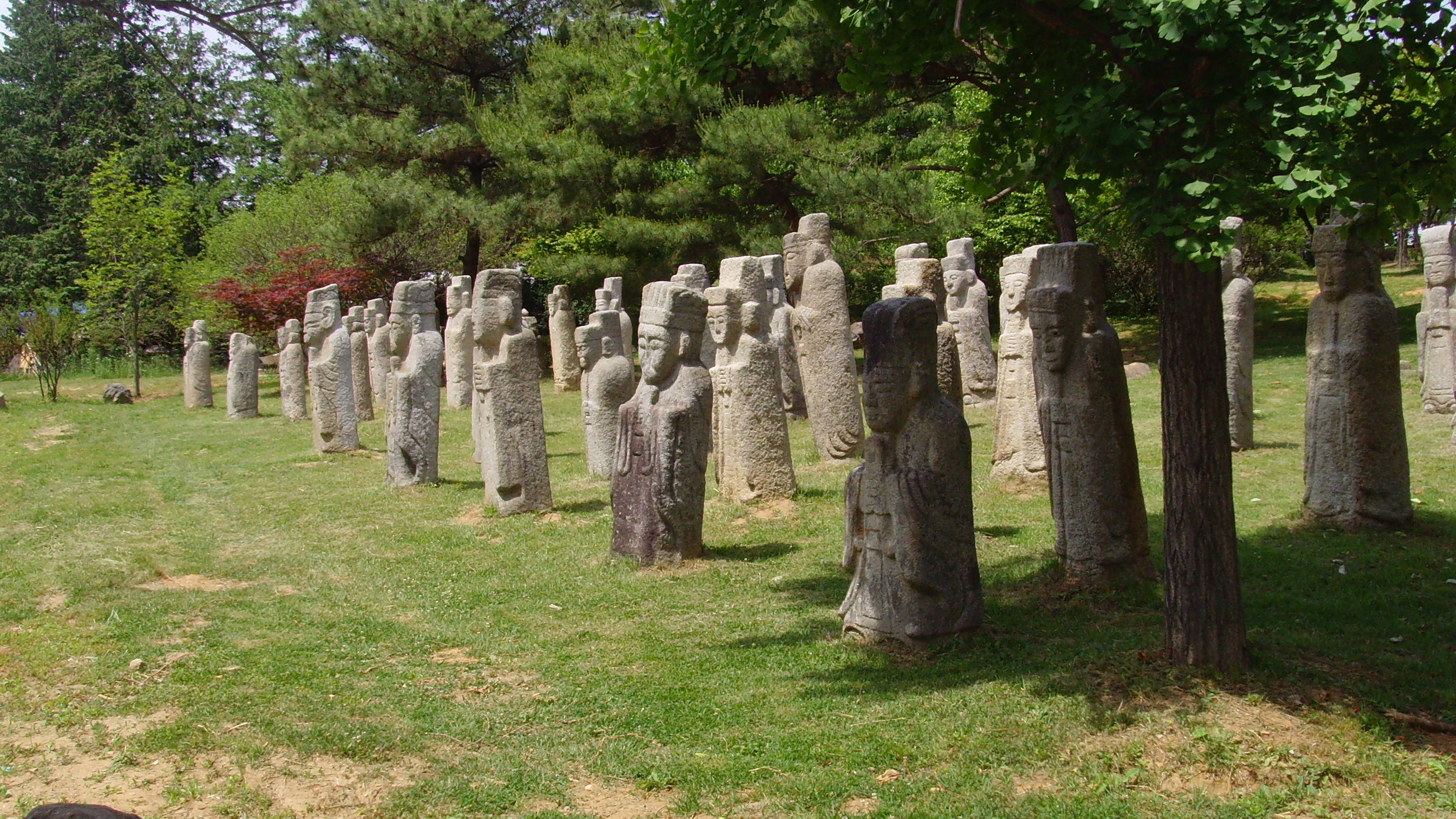 SNV32415.JPG