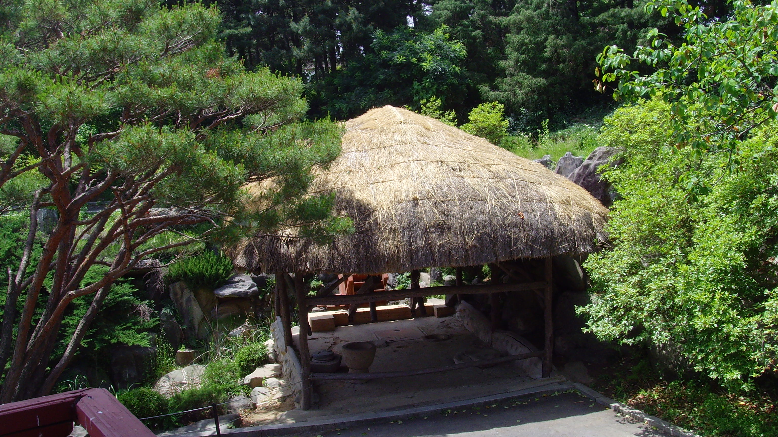 SNV32417.JPG