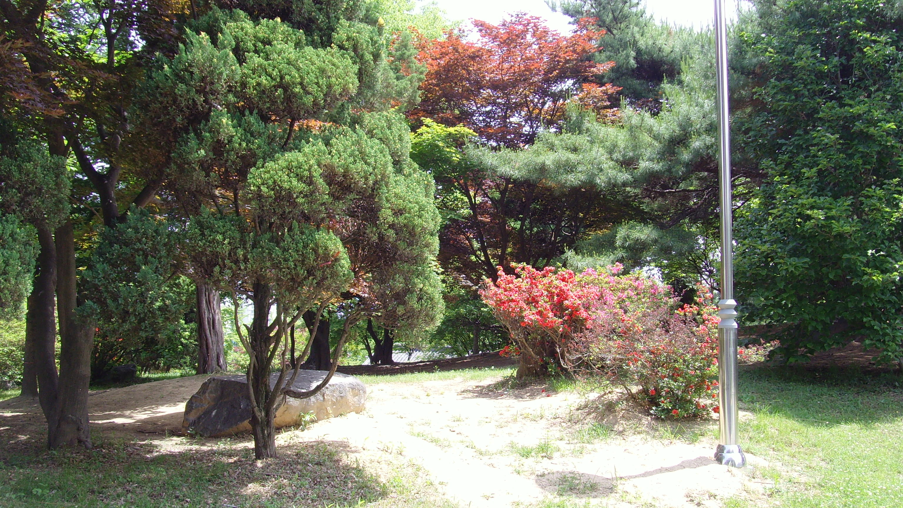SNV32423.JPG