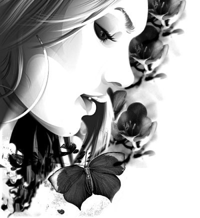 selection_85_26.jpg