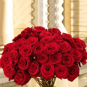 red-roses.jpg