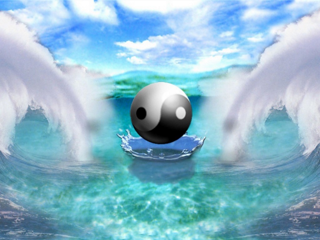 Yin-Yang_Symbol.jpg