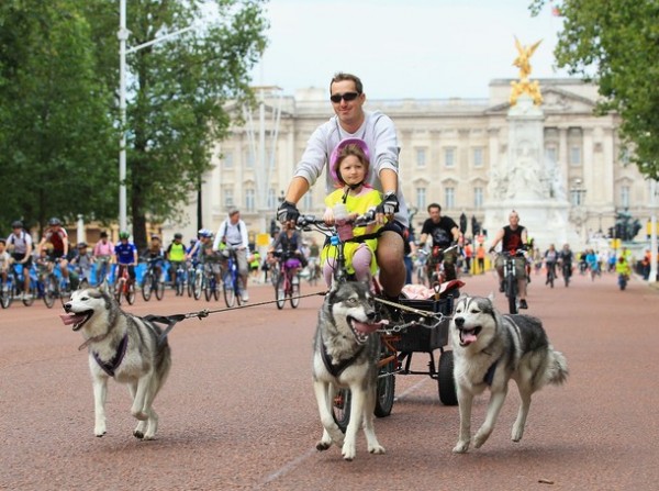1283862143_sky_ride_30.jpg
