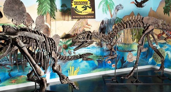 Allosaurus-Vs-Stegosaurus-—-The-Fighting-Pair-2.jpg