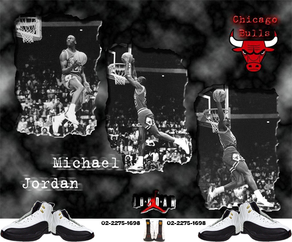 jordan 12.jpg