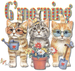 3bb1a5deba35.gif