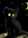 211007-0.469817335831.gif