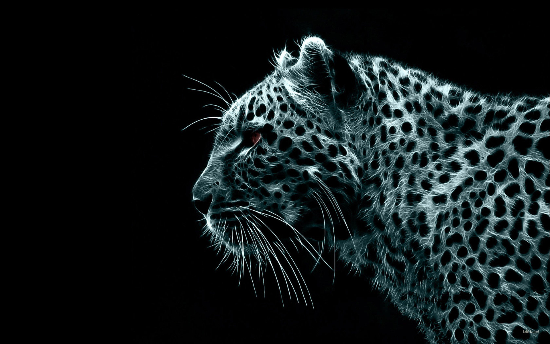 digital_leopard-wide.jpg