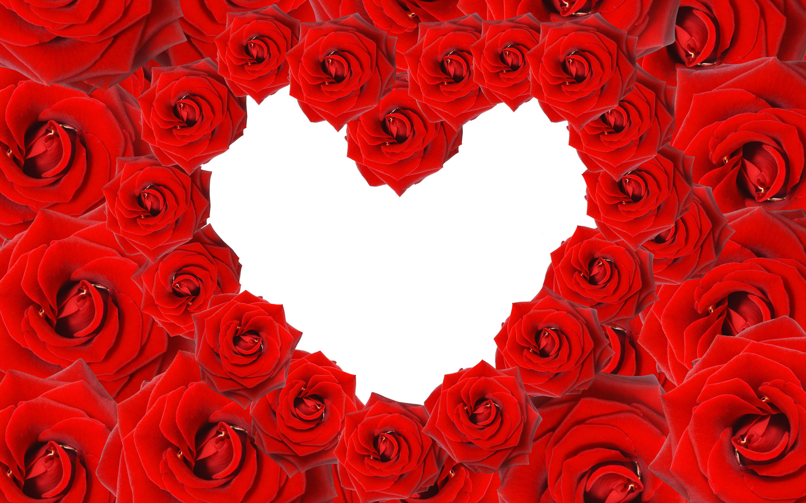 red_roses__love_heart-wide.jpg