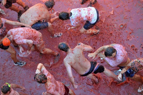 1283175265_tomatina_5.jpg