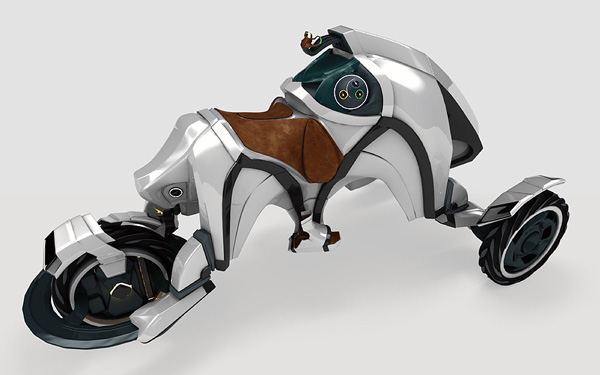1309326260_saddle_03.jpg