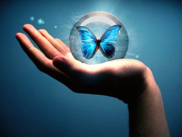 1254946548_blue_butterfly_by_6yohan9.jpg