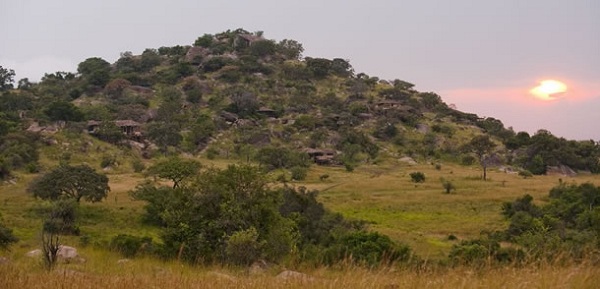 safari-fun6.jpg