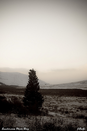 mgl_snow200814.jpg