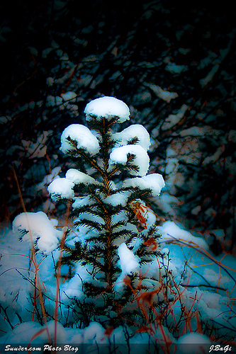 mgl_snow200813.jpg