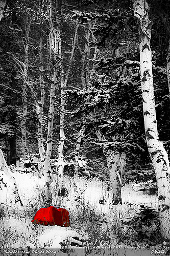 mgl_snow200812.jpg
