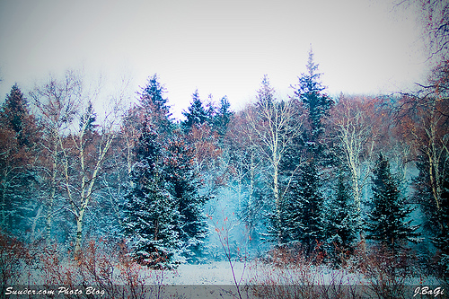 mgl_snow200808.jpg