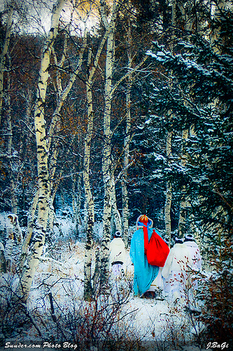 mgl_snow200804.jpg