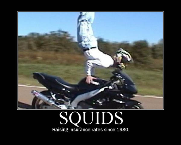 squidsinsurance.jpg