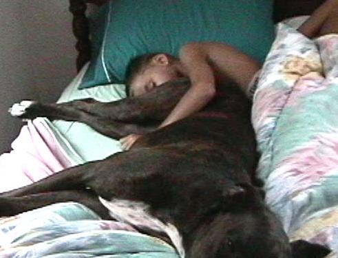 sleep_by_dog.jpg