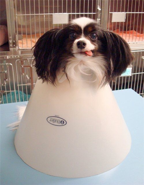 2009-11-05 23;19;42.jpg